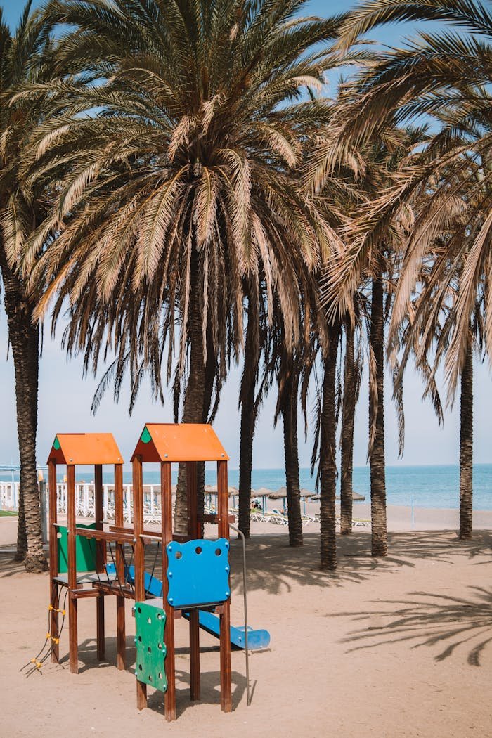 Colorful playground set beneath palm trees at a sunny Málaga beach, offering a serene coastal escape.